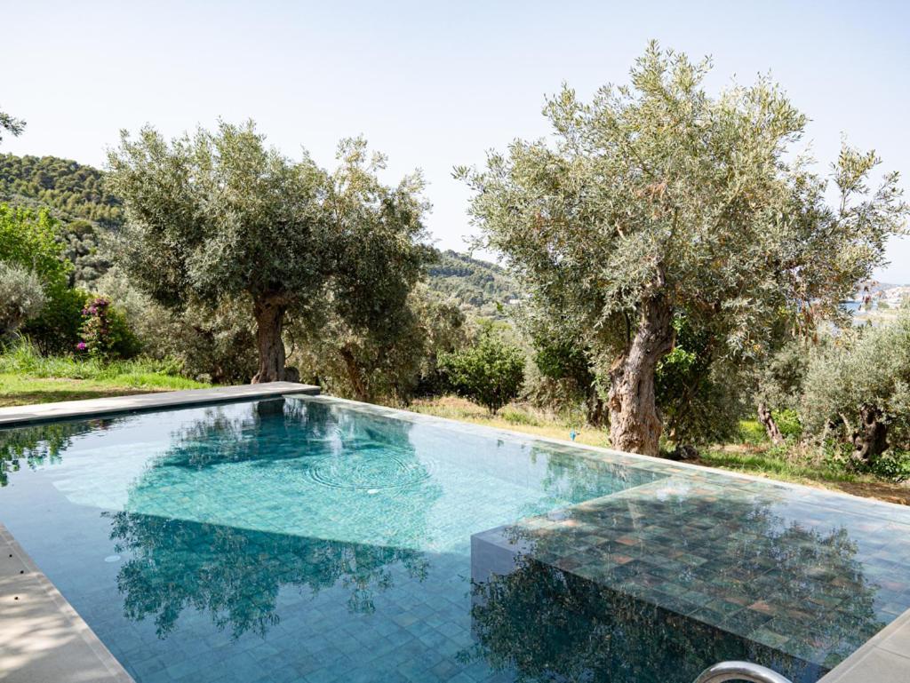 Dohos Skiathos Suites Ksanemos Eksteriør billede