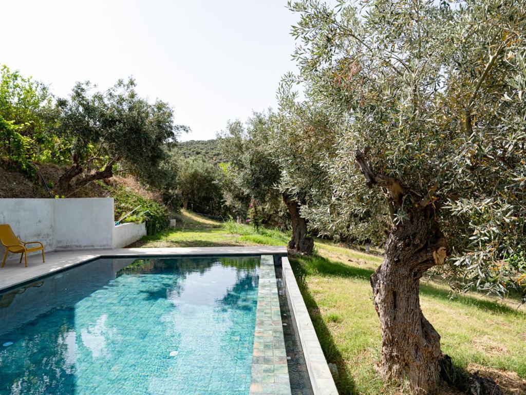 Dohos Skiathos Suites Ksanemos Eksteriør billede